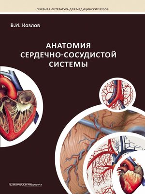 cover image of Анатомия сердечно-сосудистой системы